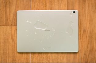 荣耀Waterplay新品发布 可以洗澡的平板电脑